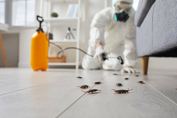 Commercial Kitchen Cockroach Control in Kearns